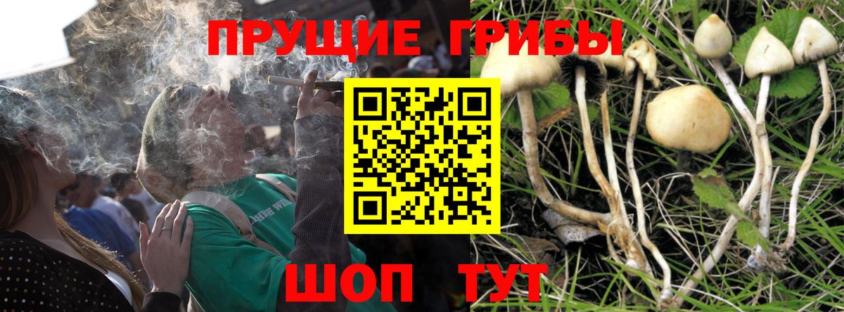 Галлюциногенные грибы мухоморы Баксан